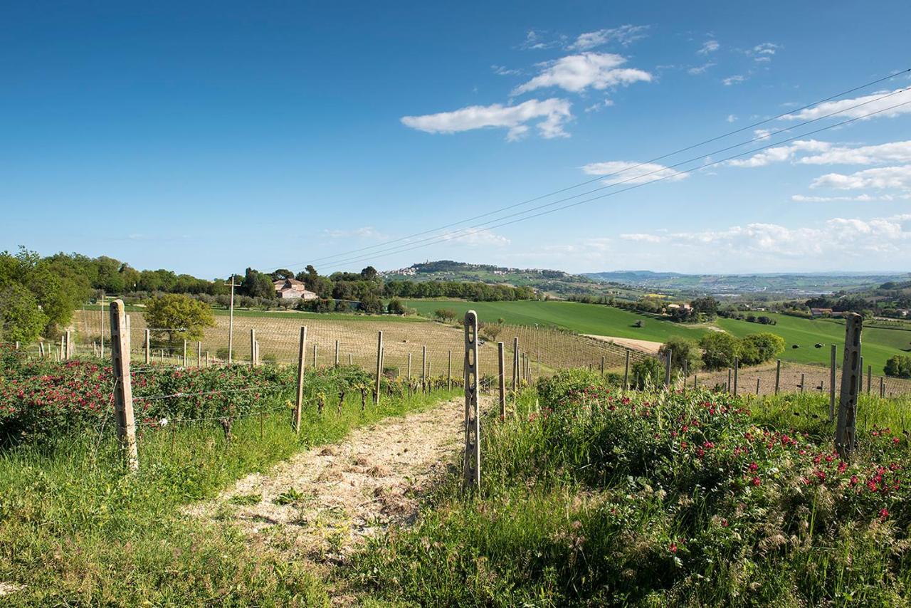 A11 - Varano, Delizioso Trilocale Con Giardino Ancona Bagian luar foto
