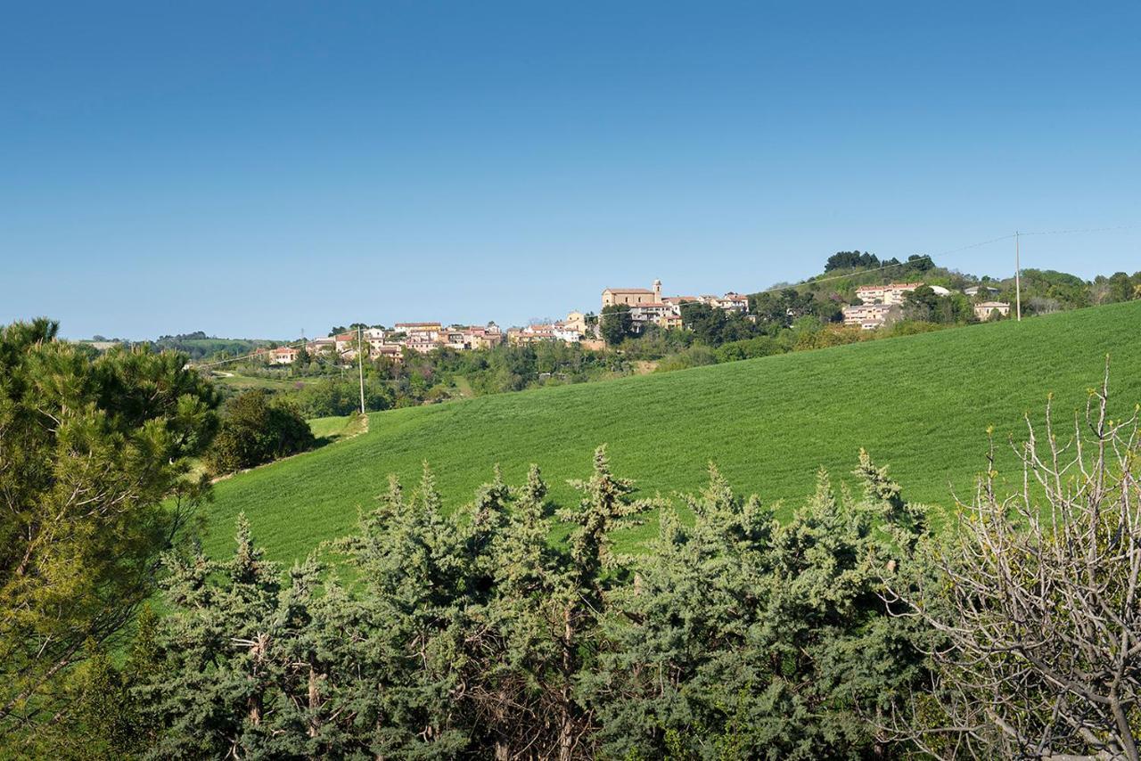 A11 - Varano, Delizioso Trilocale Con Giardino Ancona Bagian luar foto